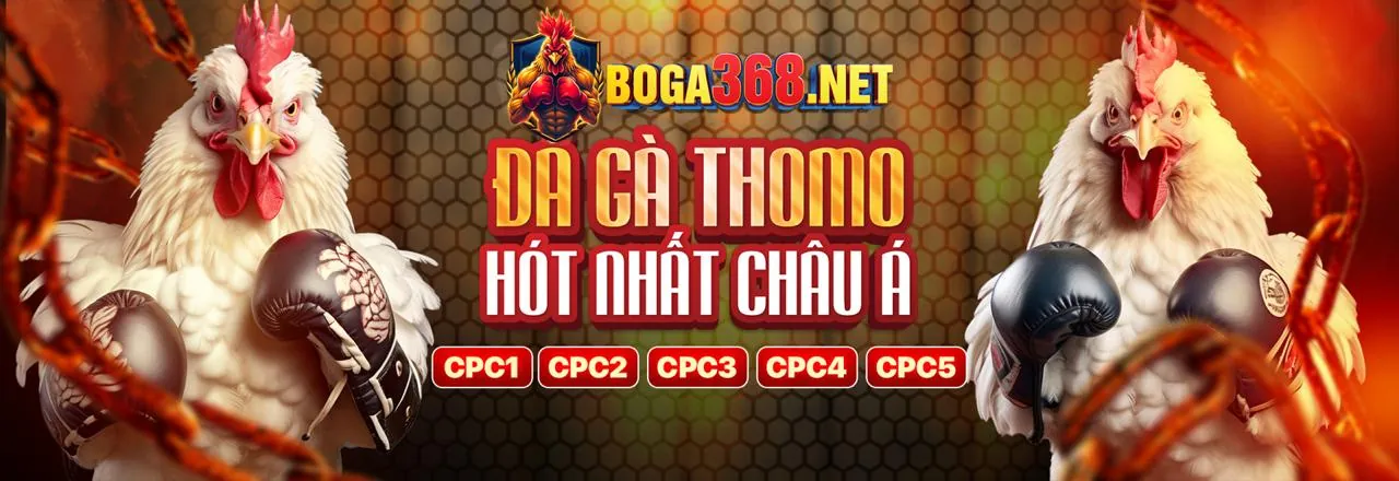 Đá Gà Trực Tuyến Kingfun
